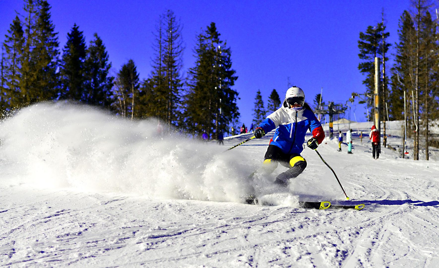 Alpské lyžovanie